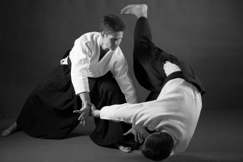 Aikido treniruočių kursas