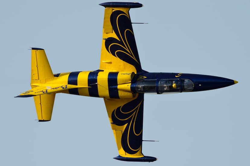 Ekstremalus skrydis naikintuvu L-39