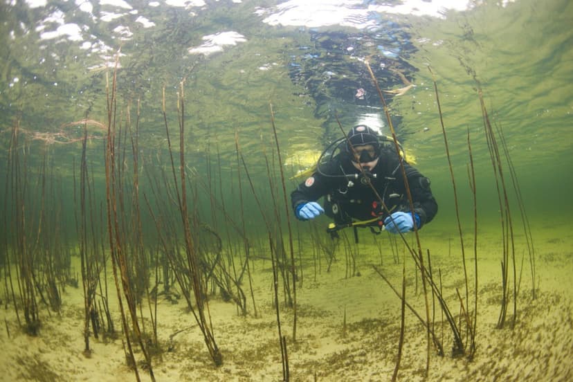 Atvirojo vandens nardymo kursai (PADI OWD)