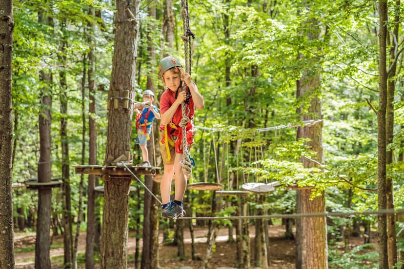 Pramogavimas jaunimui nuotykių parke „Ąžuolynė“