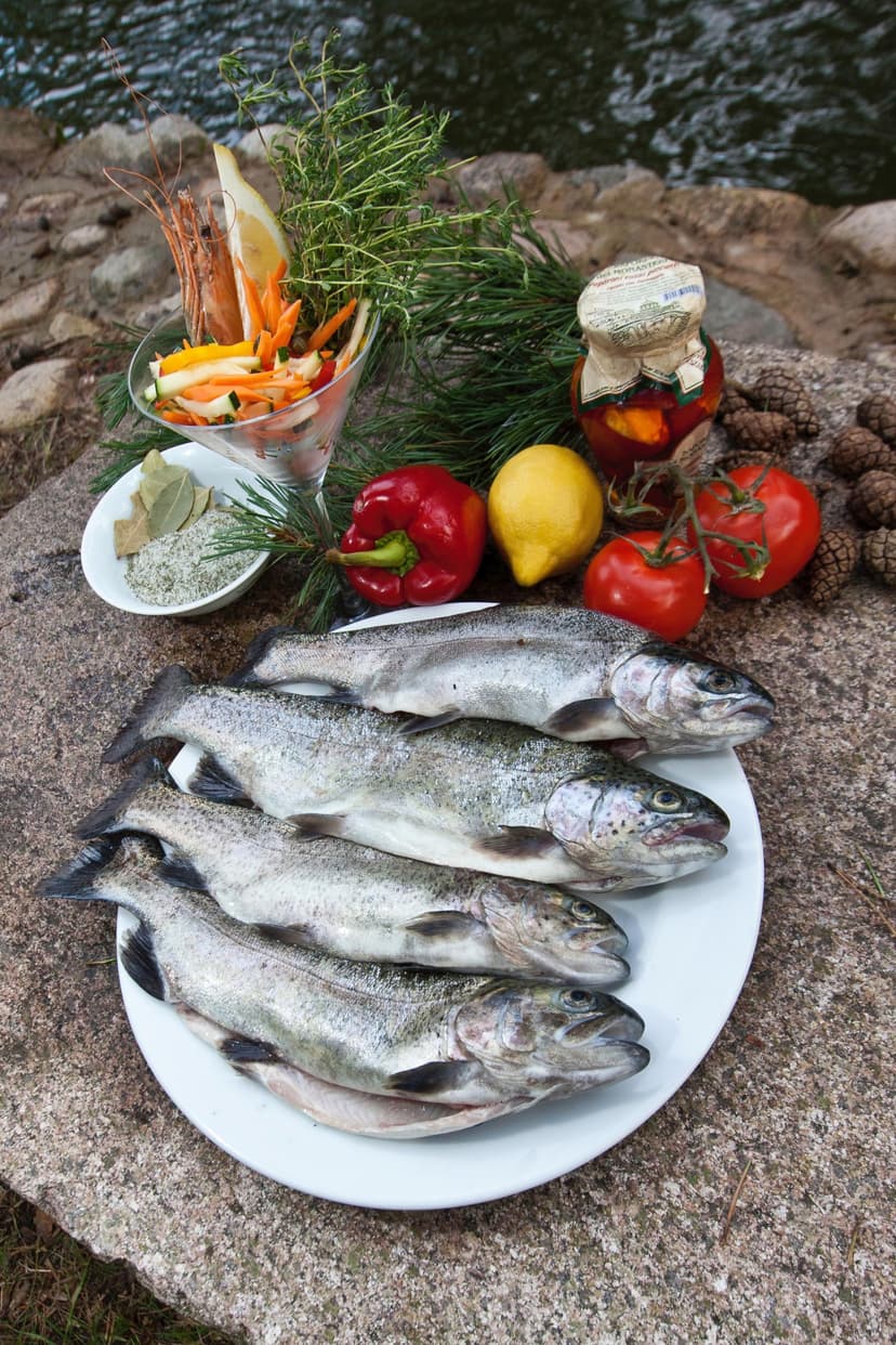 Upėtakių žvejyba ir jų paruošimas ŠEIMAI