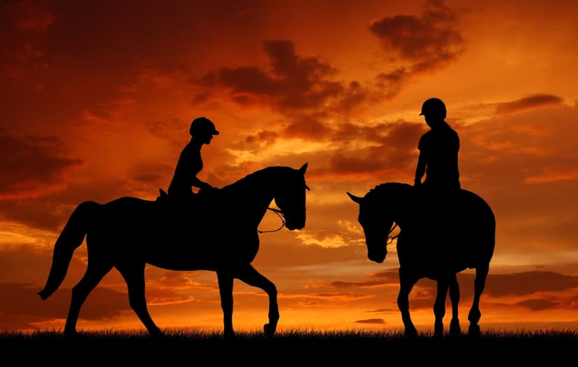 Naktinis jodinėjimas žirgais Trakų apylinkėse DVIEM