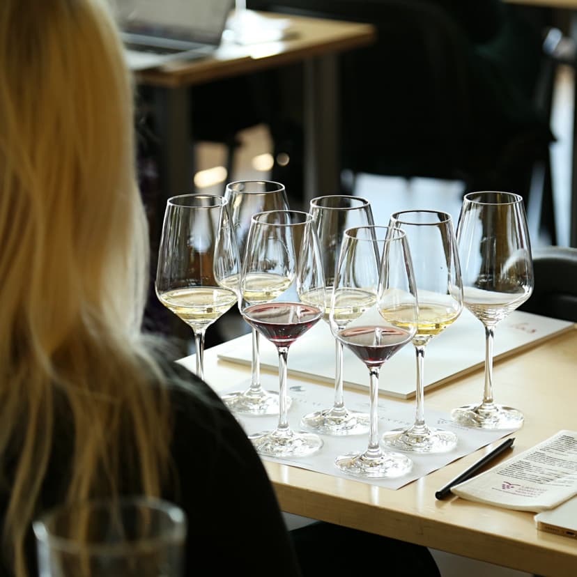 Vyno kursai „Lietuvos someljė mokykloje“ 2 asm.