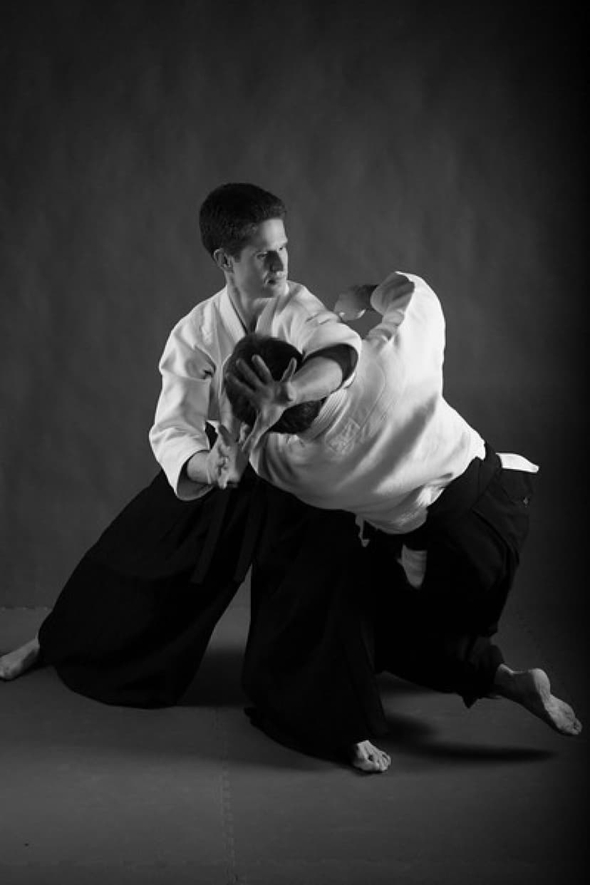 Pažintinis aikido treniruočių kursas