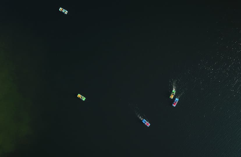 Pasiplaukiojimas vandens dviračiu ir kibinų degustacija dviem