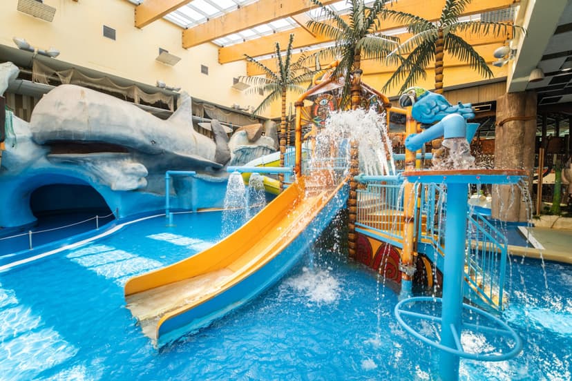 Vandens pramogos „Vichy“ vandens parke 1 asm.