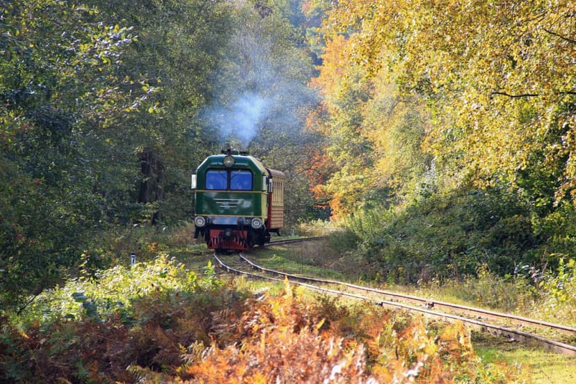 Kelionė siauruku prie Rubikių ežero dviem