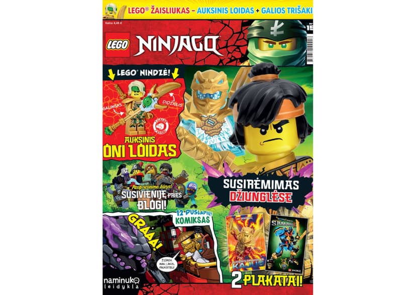 Žurnalo „LEGO Ninjago“ prenumerata (12 mėn.)