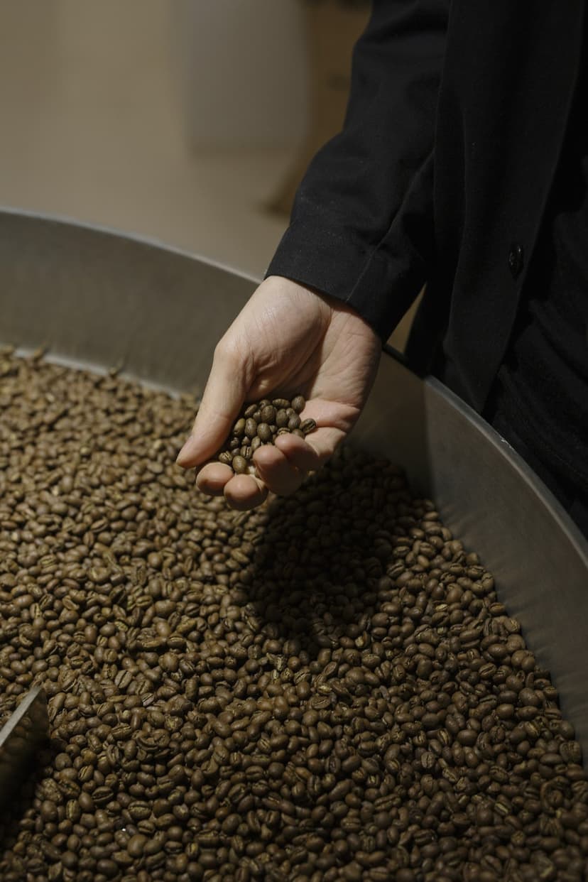 3 mėnesių kavos prenumerata gurmanams