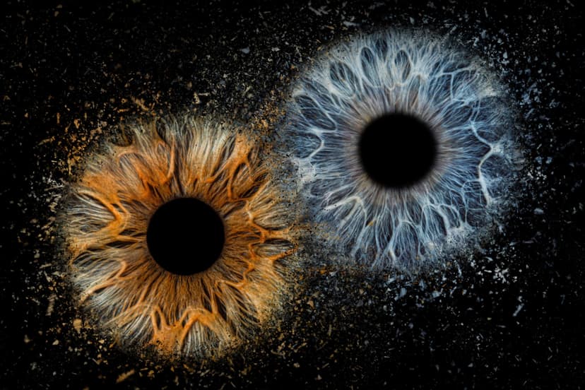 Skaitmeninė 2 akių rainelių nuotrauka