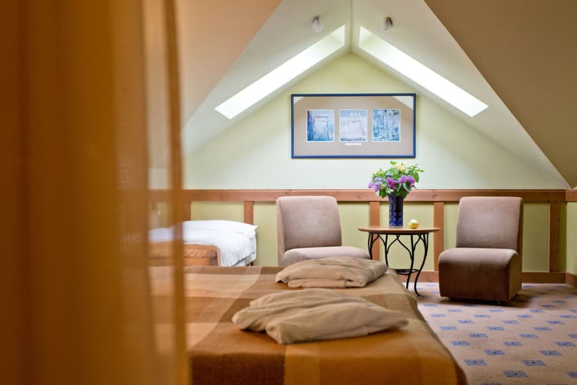 SPA poilsis „Best Baltic Central“ DVIEM + pramogos Druskininkų vandens parke