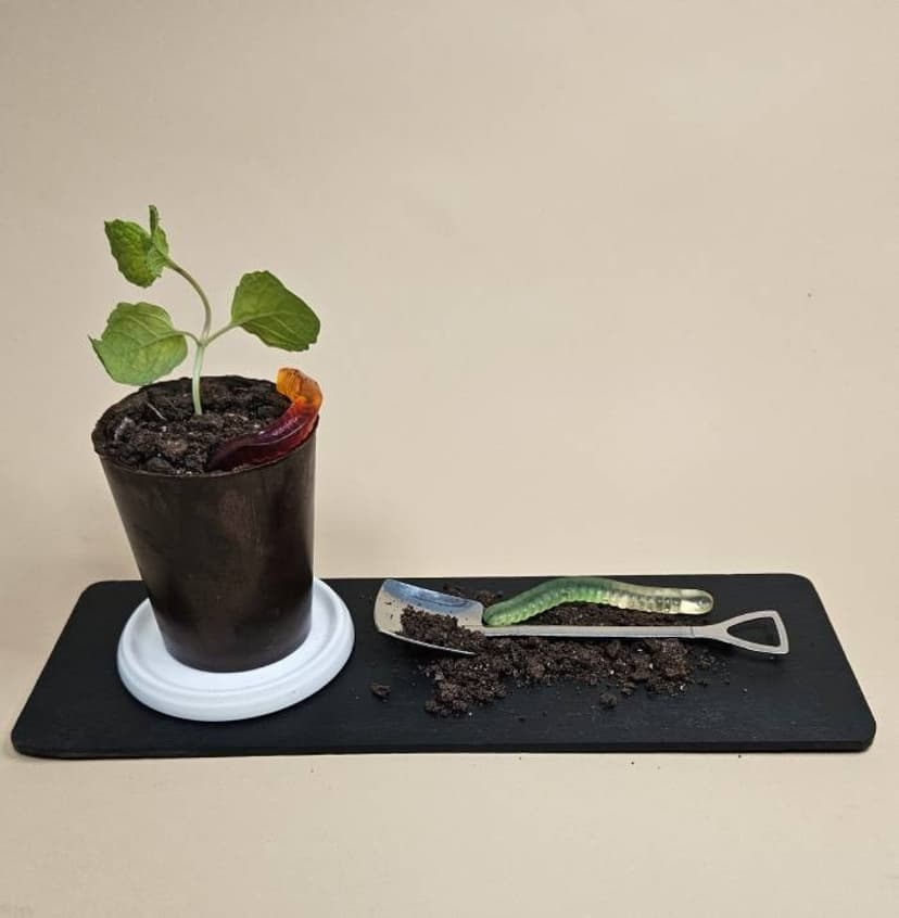 Šokoladinis gėlių vazonėlio desertas dviem