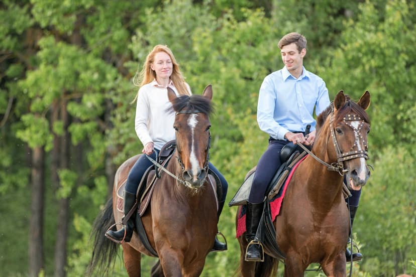 Jodinėjimas žirgais „Night rider“ dviem