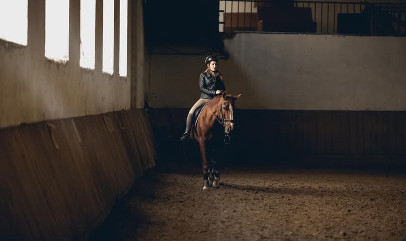 Jodinėjimo pamokų abonementas (4 kartai)