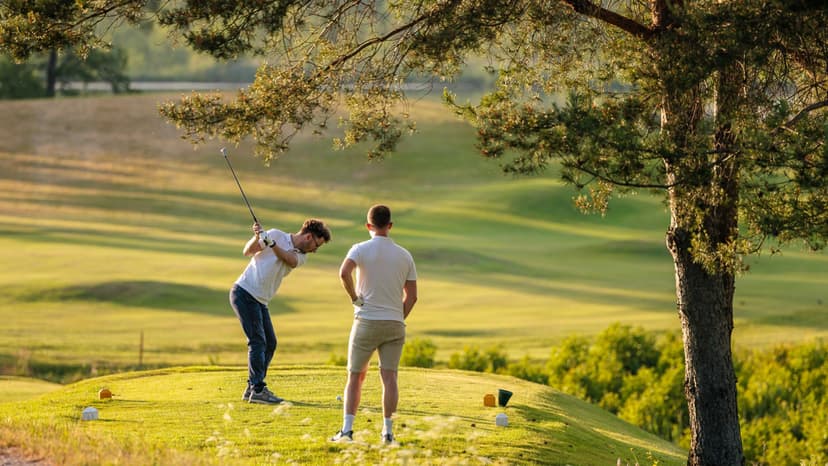 Įvadinė golfo pamoka aikštyne 2-4 asm.