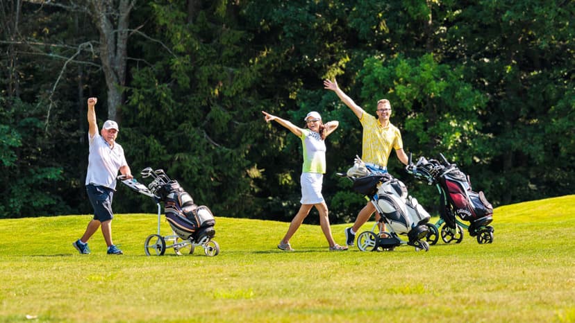Golfo žalios kortelės kursai grupėje + DOVANA!